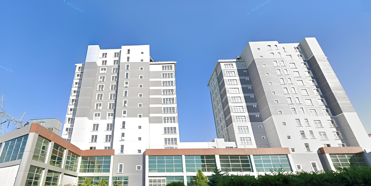 TurkSteelWorks is in the industry